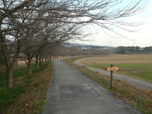 P1490166.JPG