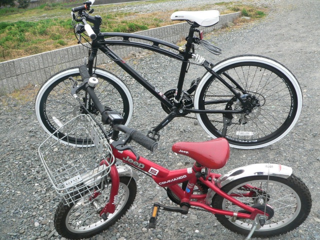 P1570182.JPG