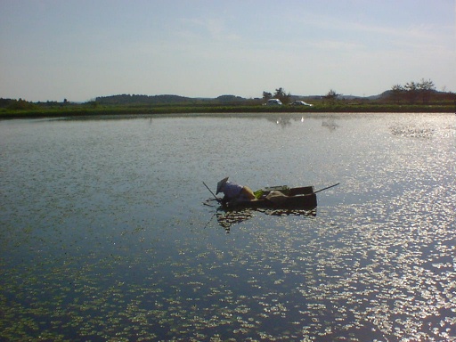 コピー ～ syukaku.jpg