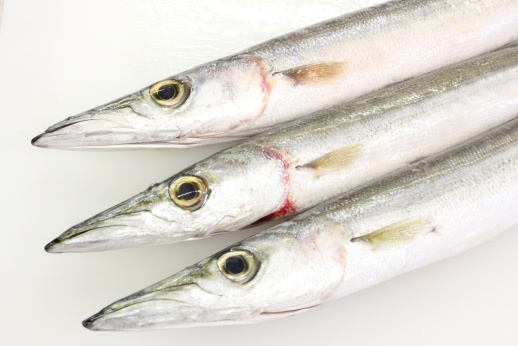 カマス