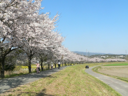 ２００９　４月７日　員弁川散歩道.JPG