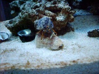 IMG_0015.JPG