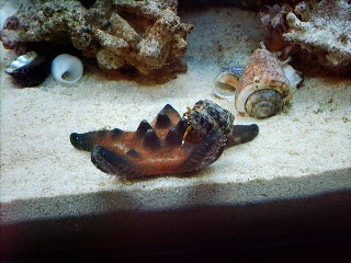 IMG_0030.JPG