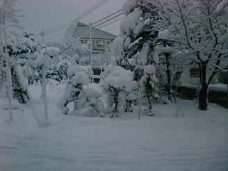 雪1231b.JPG