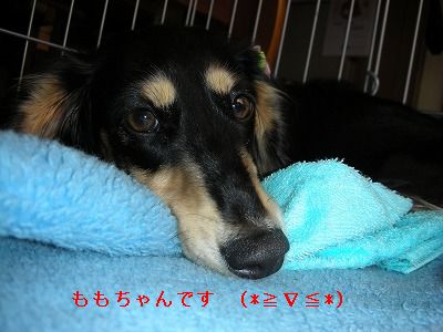 DSCN0478.jpg
