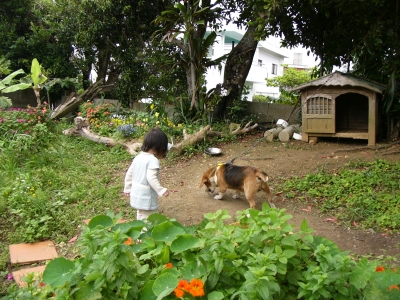 じぇっぴーって言ってたけど本当？