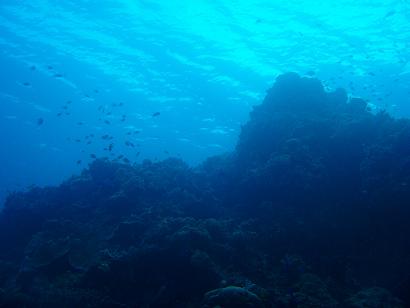 0618モアルボアル２－１