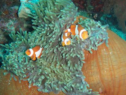 0618モアルボアル２－２