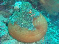 0618モアルボアル２－３