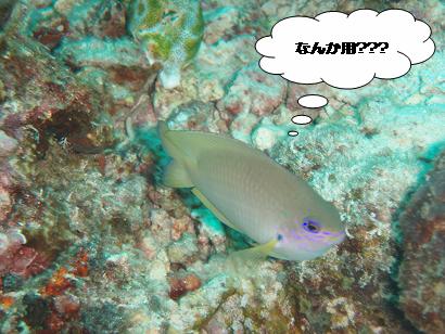 0618モアルボアル２－４