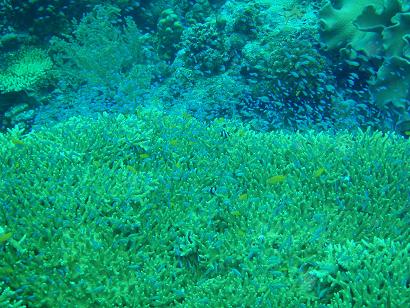 0618モアルボアル２－５