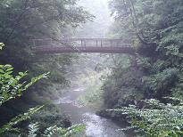 遊歩道の橋