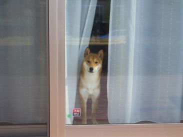 俺にくれないの？.jpg