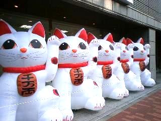 招き猫の集団