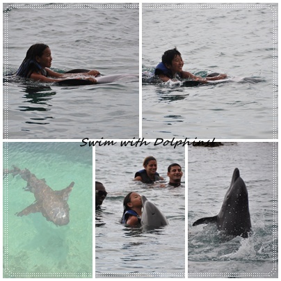 swim with dolphins.jpg