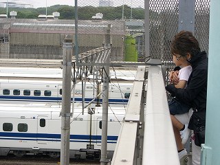 CIMG0354.jpg