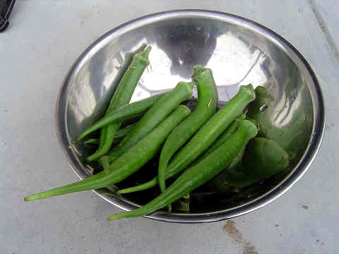 DSC014070002.jpg
