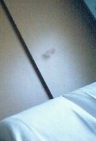 飛んでるコンチャン