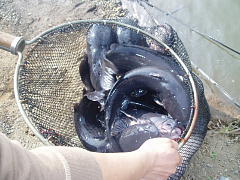 PC270007.JPG