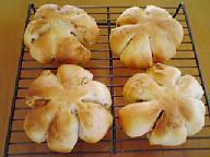 くるみパン.jpg