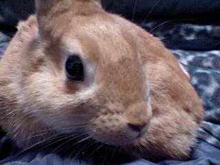 070117_2029~0001.jpg