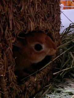 070120_2101~0001.jpg