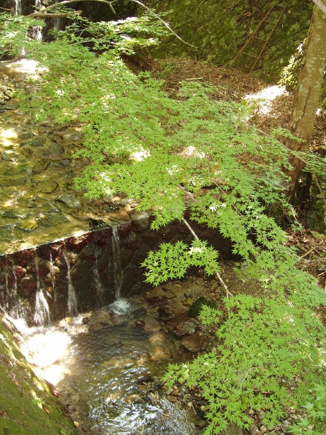 Get_Img.jpg