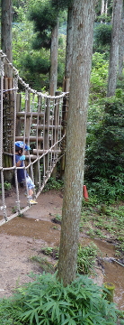 P591.jpg