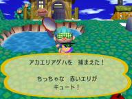 アカエリアゲハ