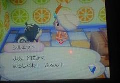 シルエット入村３