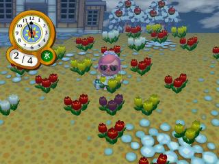 黒チューリップ