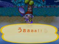 オウゴンオニクワガタ