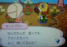 セントアロー写真1