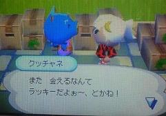 クッチャネ入村３