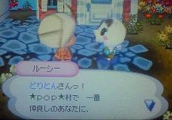 ルーシー写真１