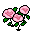 ﾋﾟﾝｸの薔薇