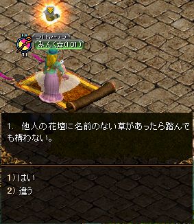 みんくレディ☆彡