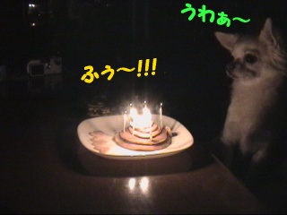 DSC00016.JPG