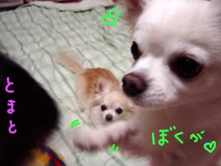 DSC00139.JPG