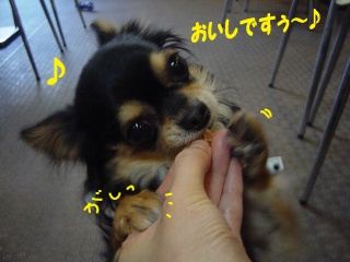 DSC00079.JPG