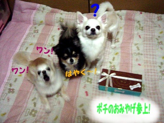 DSC00137.JPG
