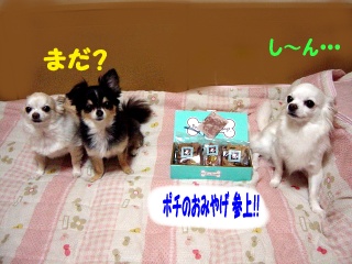 DSC00144.JPG