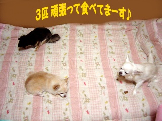 DSC00165.JPG