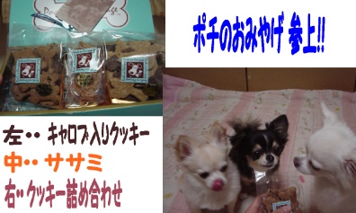 クッキーとササミの詰め合わせ.jpg