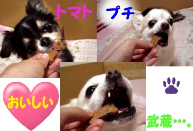 やっと食べれたよ♪.jpg