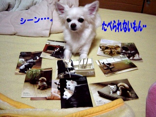 DSC00172.JPG
