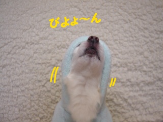 DSC00063.JPG