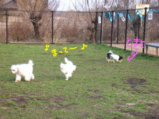 DSCN1230.JPG