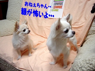DSC00055.JPG