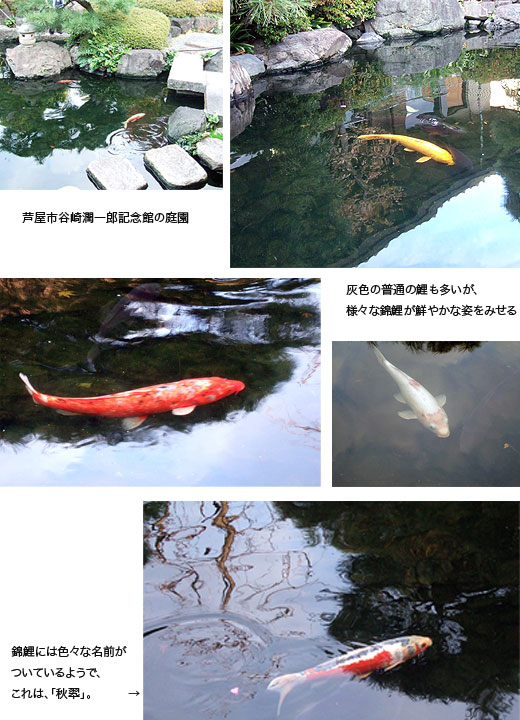 鯉　谷崎潤一郎記念館